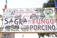 Sagra del Fungo Porcino Lariano