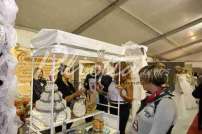 Fiera della Sposa Cassino 7/8 Novembre 2015 - 0W4A6141