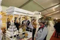 Fiera della Sposa Cassino 7/8 Novembre 2015 - 0W4A6142