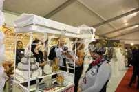 Fiera della Sposa Cassino 7/8 Novembre 2015 - 0W4A6144