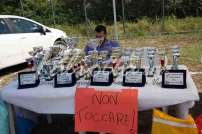 Mostra Canina 28 Giugno 2015 Pico - IMG_4705