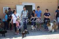 Mostra Canina 28 Giugno 2015 Pico - IMG_4744