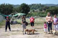 Mostra Canina 28 Giugno 2015 Pico - IMG_4752
