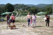 Mostra Canina 28 Giugno 2015 Pico - IMG_4756