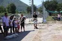 Mostra Canina 28 Giugno 2015 Pico - IMG_4757