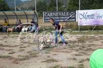 Mostra Canina 28 Giugno 2015 Pico - IMG_4780