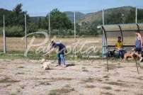 Mostra Canina 28 Giugno 2015 Pico - IMG_4784