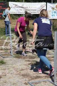 Mostra Canina 28 Giugno 2015 Pico - IMG_4788