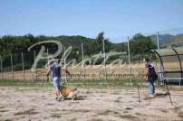 Mostra Canina 28 Giugno 2015 Pico - IMG_4802