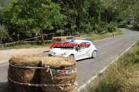 37° Rally di Pico 2015 - IMG_1542
